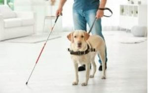 Health Impress Blind Man 795x500 2025