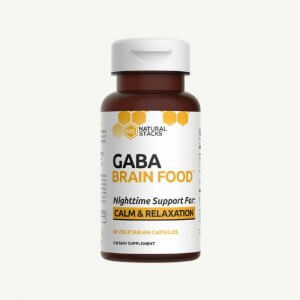 GABA Brain Food - Health Impress
