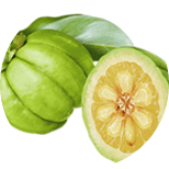 Garcinia cambogia extract