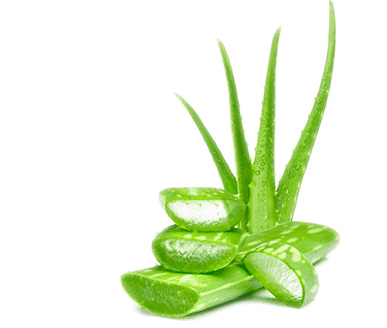 Aloe Vera Leaf Juice