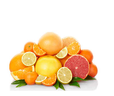 ingredient 6 2025