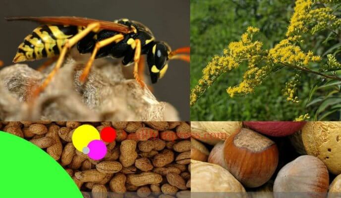 What are Allergies, Symptoms, Causes, and Remedies
