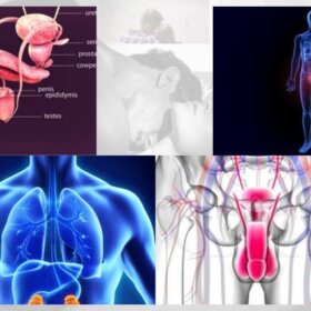 Diabetes and Sexual Disorders in Men & Women(1)