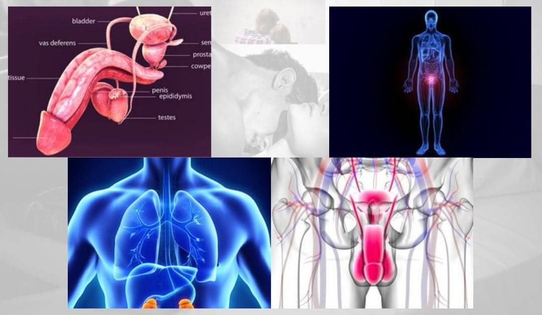 Diabetes and Sexual Disorders in Men & Women(1)