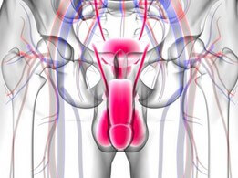 Diabetes and Sexual Disorders in Men & Women 3 2025 Dibetes and sexual disorders - men