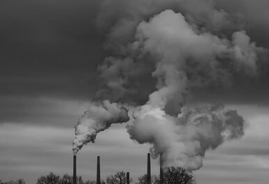 Environmental Pollution and Diabetes 3 2025 Environmental Pollution and Diabetes